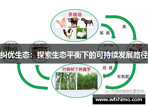 纠优生态：探索生态平衡下的可持续发展路径