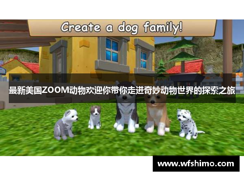 最新美国ZOOM动物欢迎你带你走进奇妙动物世界的探索之旅