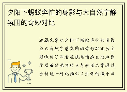 夕阳下蚂蚁奔忙的身影与大自然宁静氛围的奇妙对比
